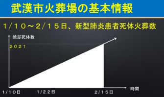 pp6520200220220.png
